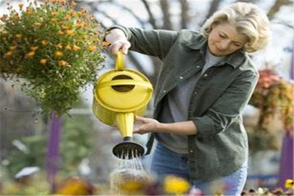 浇花浇叶子还是根部,浇花要浇根