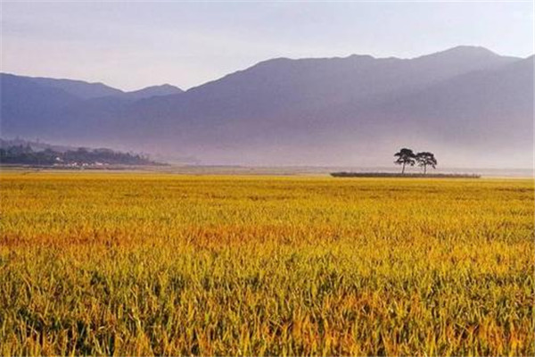 俗话说什么立秋后天气转凉,立秋后什么时候开始冷