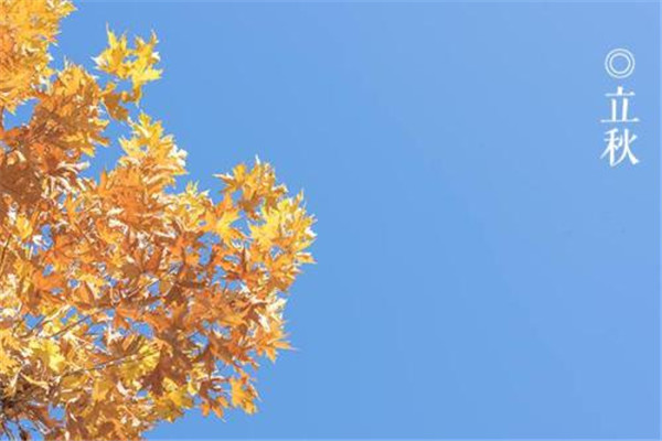 立秋应该注意些什么怎么养生,立秋后什么时候开始冷