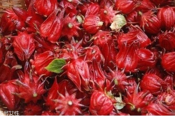 洛神花有什么用途,洛神花有什么效果