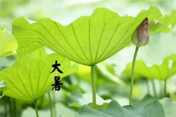 大暑过后几天凉,大暑是不是最热的时候