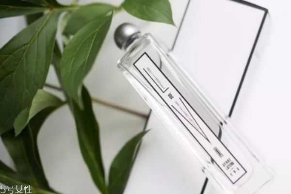 眼霜哪些好用(效果最好的眼霜是哪种) 眼霜哪些好用(效果最好的眼霜是哪种)