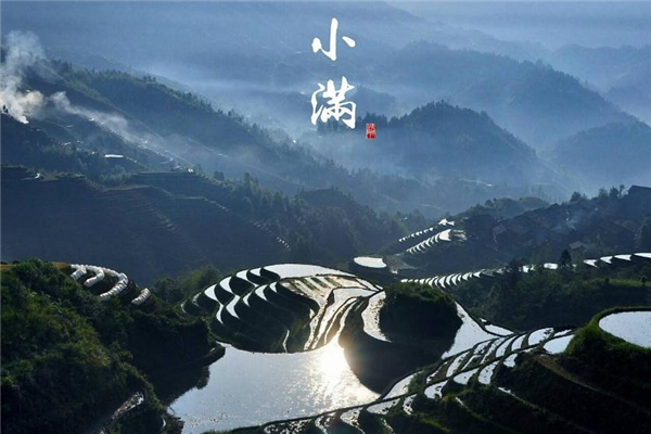 小满前后种瓜种豆是什么意思,清明前后种瓜得瓜种豆得豆意思是什么