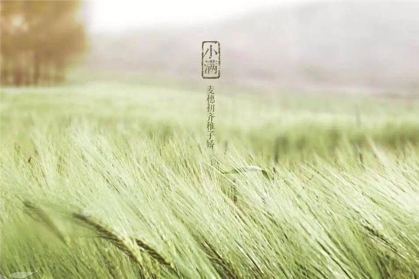 每个节气发朋友圈,发朋友圈节气的句子