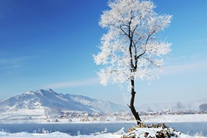 大寒穿什么衣服,大寒比小寒更冷吗