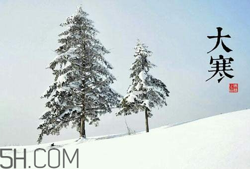 今年大寒是几九,2018年大寒是哪天 今年大寒是几九,2018年大寒是哪天