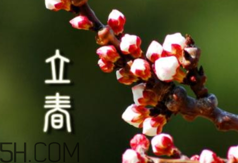 2018年立春是哪天,2018年立春是哪天几点