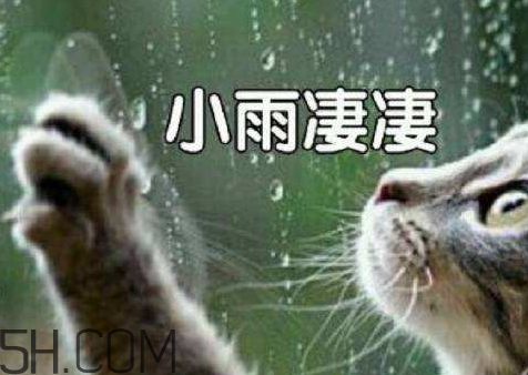 今年降雨量,2017年全年降雨量