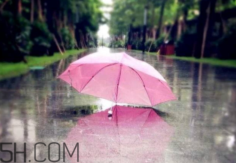 今年雨水多吗,中国雨水最多的省份