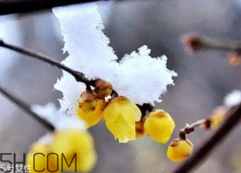 今年一九是几月几号?,今年一九几月几号开始