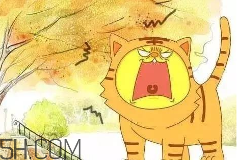 秋老虎几月份,秋老虎是什么时候结束