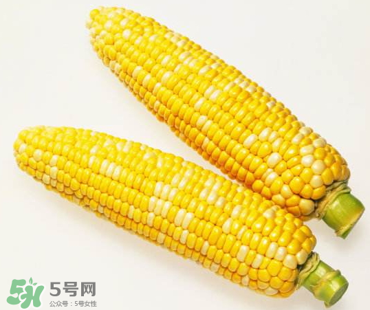 九月份能种玉米吗?,九月份可以种玉米吗