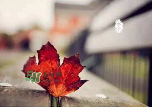 秋分热吗?,春分和秋分温度一样吗