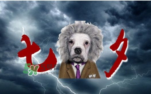 七夕单身狗说说配图,单身狗元旦说说 七夕单身狗说说配图,单身狗元旦说说