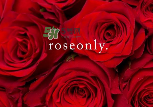 roseonly玫瑰花,love rose玫瑰花礼盒