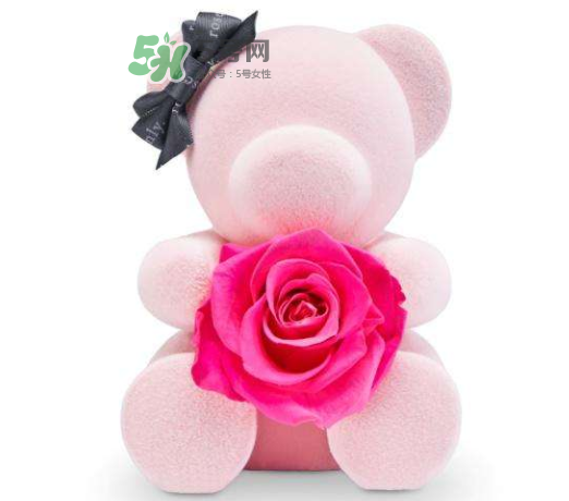 roseonly的熊没有眼睛,roseonly最大的熊 roseonly的熊没有眼睛,roseonly最大的熊