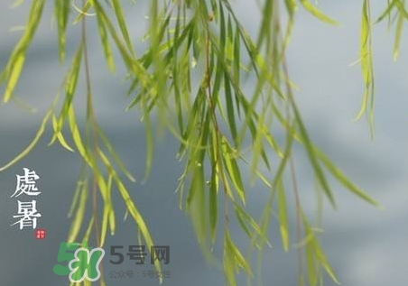 大暑是一年中最热的时候吗,大暑是不是最热的时候