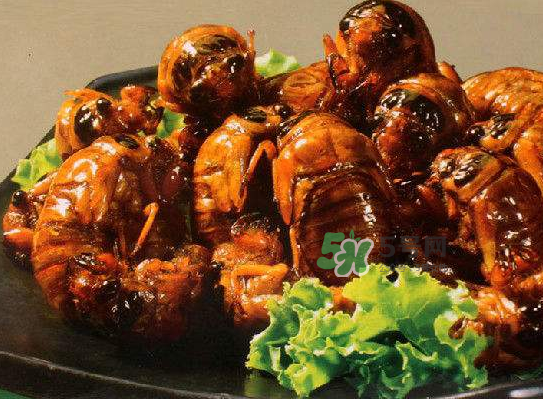 立秋后的金蝉能吃吗立秋后的爬叉还能吃吗?,金蝉还能吃吗