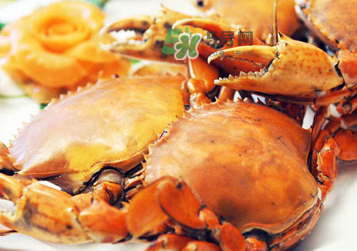 八月份有螃蟹吗?,螃蟹几月份有 八月份有螃蟹吗?,螃蟹几月份有