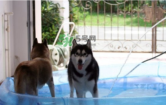 8月份是不是最热的时候,8月份热还是7月份热