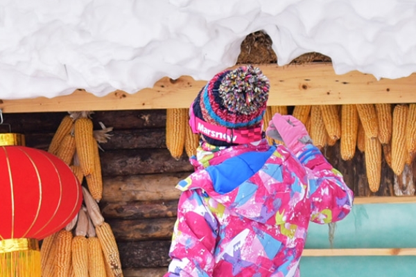 滑雪有什么好处(孩子滑雪有什么好处)