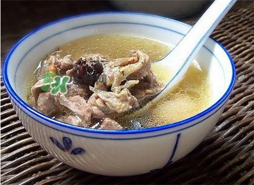 三伏天能吃鸽子吗?三伏天能喝鸽子汤吗?,三伏天能吃鸽子吗?