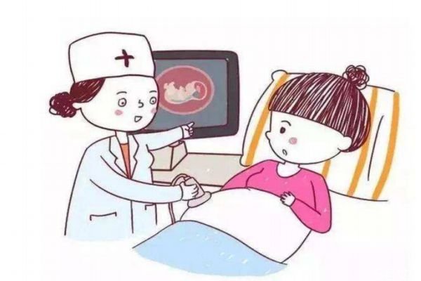 滑雪需要滑雪杖吗(滑雪需要滑雪杖吗)