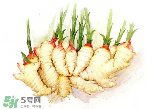 7月份可以种生姜吗?生姜几月份种植?,7月份可以种生姜吗?