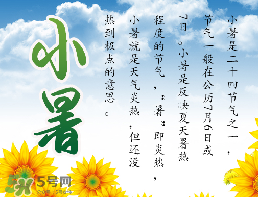 小暑养生重点,大暑养生要点