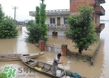 入梅的标准是什么?,入梅出梅时间怎么定的