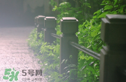 入梅出梅时间2020,2021年入梅和出梅时间上海