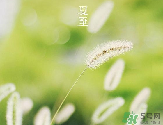 夏至是夏天的开始吗?,夏至是不是夏天的开始