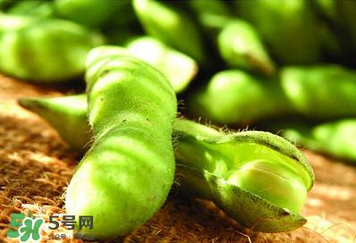 六月份可以种毛豆吗?,几月份种毛豆