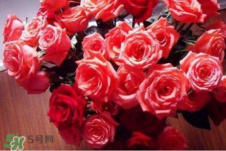 父亲节送老公什么礼物好呢,送老公爸爸什么礼物好 父亲节送老公什么礼物好呢,送老公爸爸什么礼物好