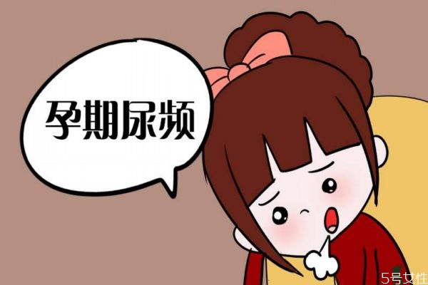 怀孕初期症状会尿频吗,刚刚怀孕会有尿频症状吗