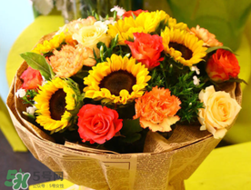 向日葵种子多少钱一斤,向日葵多少钱一斤