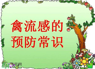 近期禽流感,今年有禽流感吗 近期禽流感,今年有禽流感吗