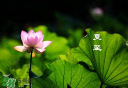 夏至会下雨吗?,夏至下雨下一句