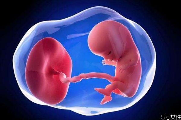 肚子里的宝宝什么时候可以听到声音,肚里的宝宝几个月能听见声音