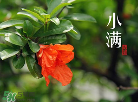 小满可以回娘家吗,满月可以回娘家住吗 小满可以回娘家吗,满月可以回娘家住吗