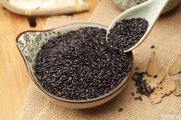 黑芝麻可以怎么吃呢,黑芝麻能怎么吃