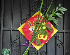 艾草挂门上是什么意思 艾草放门口有什么作用,艾草挂门上有什么讲究 艾草挂门上是什么意思 艾草放门口有什么作用,艾草挂门上有什么讲究