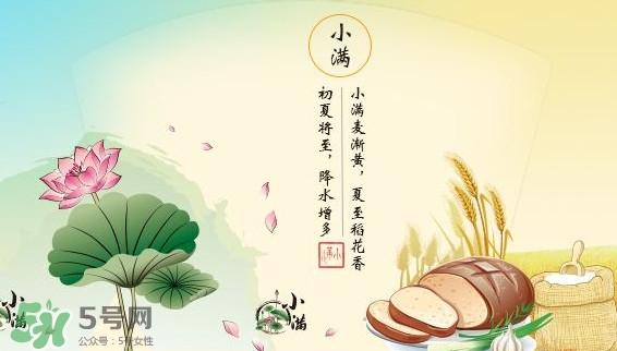 小满节气的含义是什么意思,二十四节气小满是什么意思