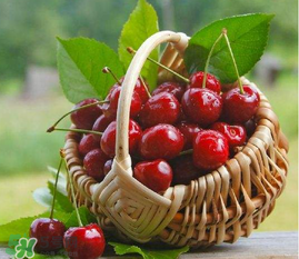 樱桃几月份可以吃,今年樱桃可以吃吗