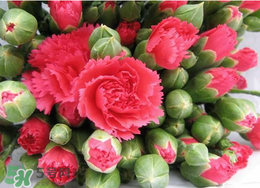 520要送女朋友花吗,给女友送花