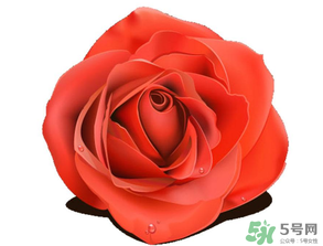 母亲节送什么颜色的玫瑰花最好,母亲节送什么颜色的玫瑰花给妈妈