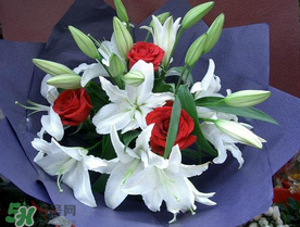 百合花多少钱一朵,百合花多少钱一朵市场价