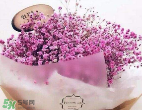 母亲节可以送满天星吗?,母亲节送满天星合适吗