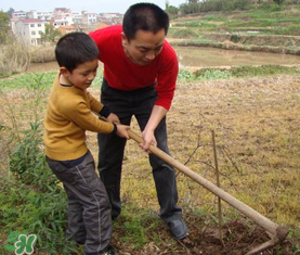 什么季节适合种果树,几月种果树比较好