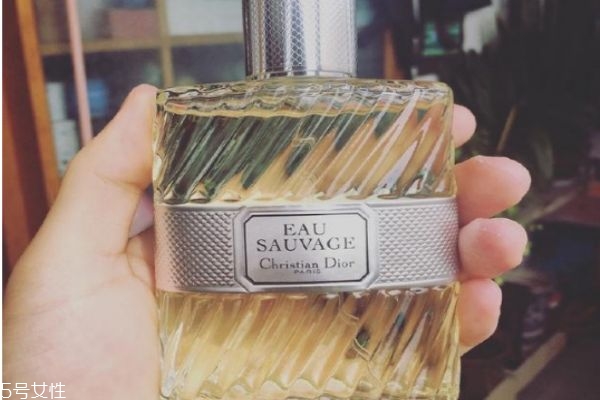 长跑怎么样(苏炳添长跑怎么样)